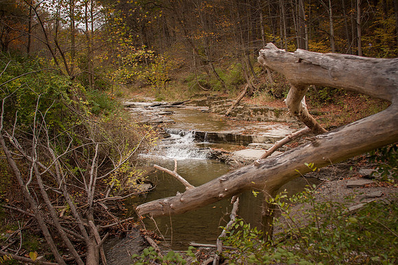 _MG_0010